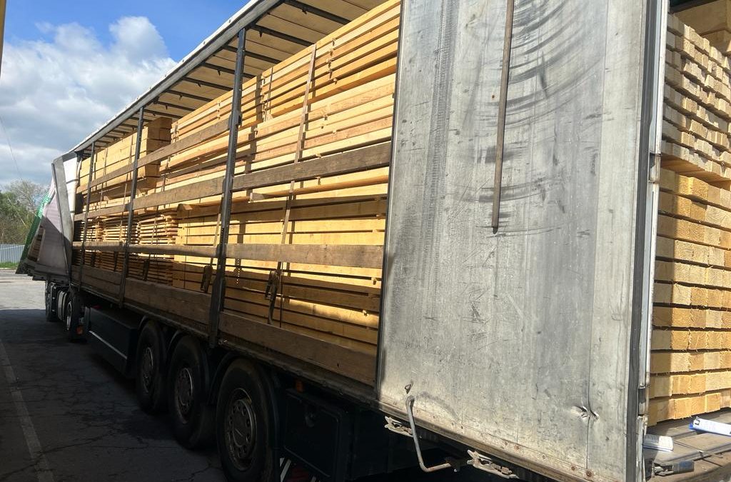 На Закарпатті розкрили схему нелегального вивозу деревини за кордон